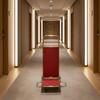 Carro Portaequipajes Plegable 2 Ruedas Alfombra Roja