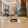 Luggage Trolley Hotel Chrome 79X59X189 Red Carpet