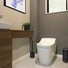 Alton Black Toilet Brush