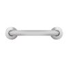 Satin Finished Stainless Steel 450 mm Straight Grab Bar