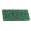 Esfregao Terfir Verde