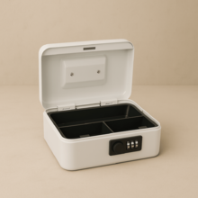 Portable Safes
