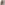 Skipton Clothes Brush in Light Wood