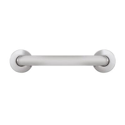 Satin Finished Stainless Steel 450 mm Straight Grab Bar